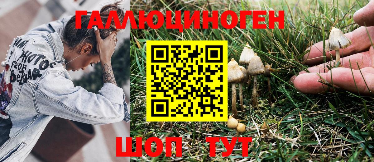 Псилоцибиновые грибы Magic Shrooms  Псилоцибиновые грибы GOLDEN TEACHER  Вход с VPN  Тавда 
