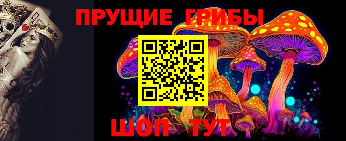 Галлюциногенные грибы GOLDEN TEACHER Тавда